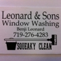 Leonard & Sons Window Washing