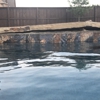 Venture Custom Pools gallery