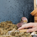 Axe Exterminators - Pest Control Equipment & Supplies