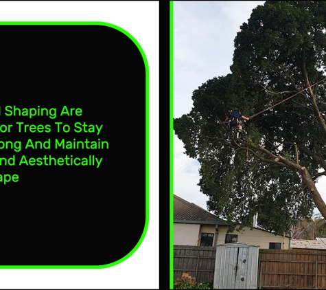 Rob's Tree Service - Tyers, VIC. Pruning & Shaping Are Necessary For Trees To Stay Healthy, Strong And Maintain A Suitable & Aesthetically Pleasing Shape