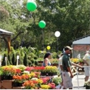 Green Thumb Nursery - Sprinklers-Garden & Lawn, Installation & Service
