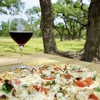 Wimberley Valley Winery gallery