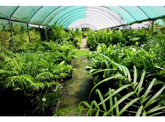 Impact Plants Nursery - Empire Bay, NSW