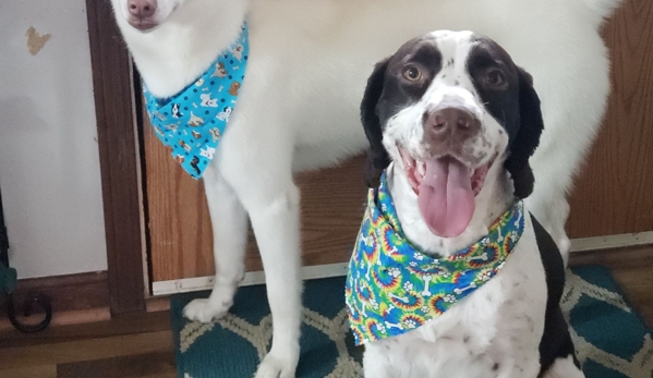 The Groom Room Dog Salon - Harrisburg, PA. Buddy system at the salon