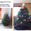Mr Tree Farm - Christmas Trees
