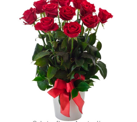 Janines Florist - Reid, ACT