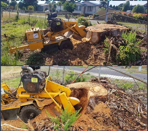 Rob's Tree Service - Tyers, VIC