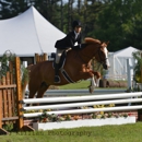 Kelsey Farm - Horse Training