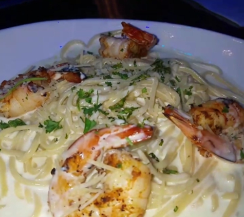 Atlantis Mediterranean Bar & Grill - Atlanta, GA. Seafood Alfredo