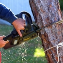 Prairie Grove Tree Service - Tree Service