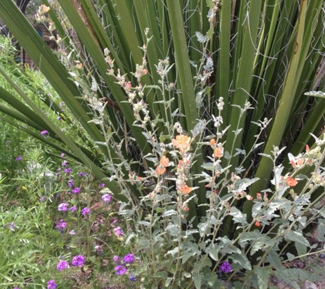 Tucson Botanical Gardens - Tucson, AZ