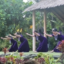 DAJA Travel - Travel Agencies