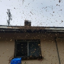 J R Bees - Pest Control Services