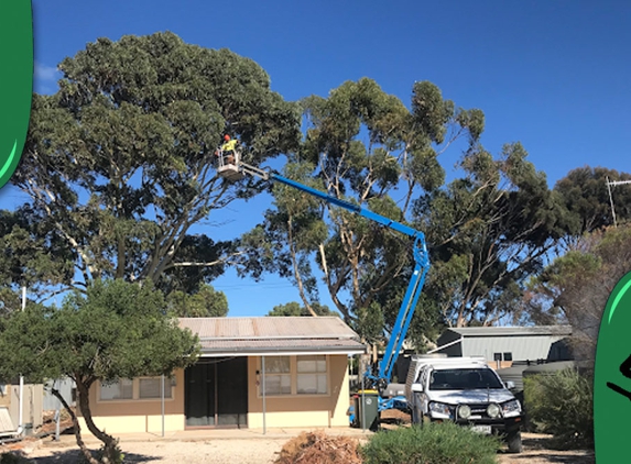 Peninsula Tree & Stump Service - Curramulka, SA. We specialise in a wide array of services, ensuring your outdoor spaces thrive with vitality and charm.