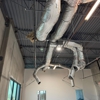 Silver Ram Electric gallery