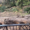 Story’s Land Management gallery