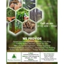 Forestry Timber Harvest Management Companies|Veritas Forestry ,Lafayette