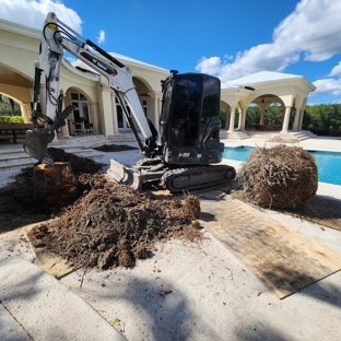 Full Tree Services - Davie, FL. Dig out of Royal Palm Stump 