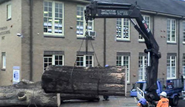 Walton's Tree Care Services