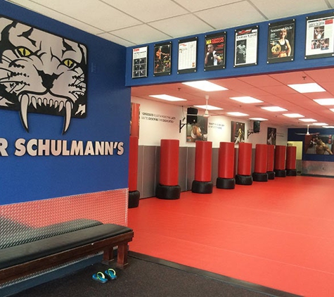 Tiger Schulmann's Martial Arts - Bethlehem, PA - Bethlehem, PA