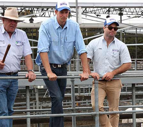 LMB Livestock Pty Ltd - Hamilton, VIC
