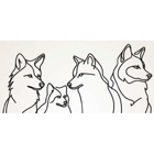 Coyote Storage