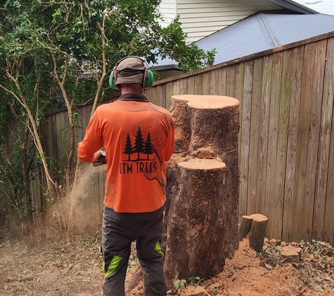 LTM Trees