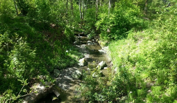 Idylwood Beach Park - Redmond, WA