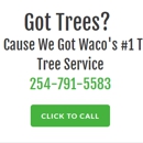 Best Waco Tree Service - Tree Service