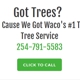 Best Waco Tree Service