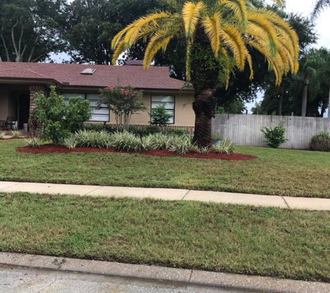 Tropical Oasis Landscaping - Palm Harbor, FL