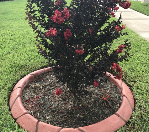 Pacific Curbing - Land O Lakes, FL