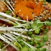 Ahipoki gallery