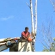 Kennebec Tree Service