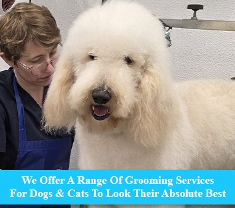 Scrub-A-Dub-Dub Dog & Cat Grooming - Rosemount, QLD. We Offer A Range Of Grooming Services For Dogs & Cats To Look Their Absolute Best