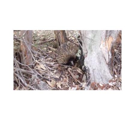 The Envirofactor - Inverell, NSW