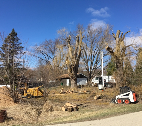 Eddy's Tree Service - Lake Villa, IL. tree trimming