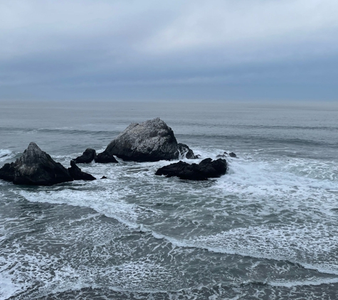 Seal Rock Research - San Francisco, CA