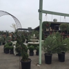 Marina Del Rey Garden Center gallery