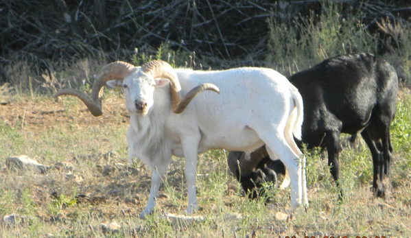 Pinto Ranch - Hunt, TX