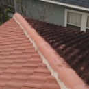 Coyote Roof Cleaning - Building Cleaning-Exterior