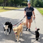 Highland Haven Dog Training