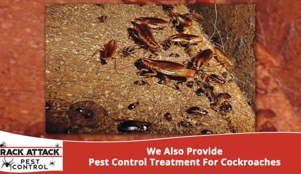 Rack Attack Pest Control - Chinchilla, QLD. Accredited And Experienced Technician