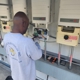 Genesis Electrical