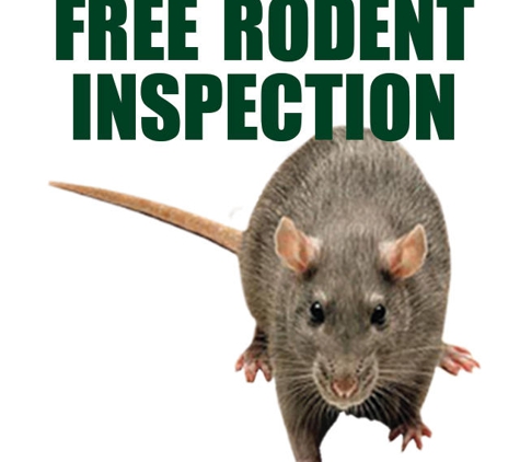 Kilter Termite and Pest Control - Newport Beach, CA