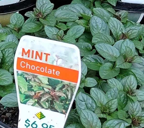 Colchester Nursery - Kilsyth South, VIC