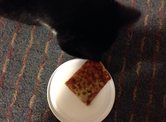 Santini's Pepper Pot Pizza - Portage, IN. Cat hates it