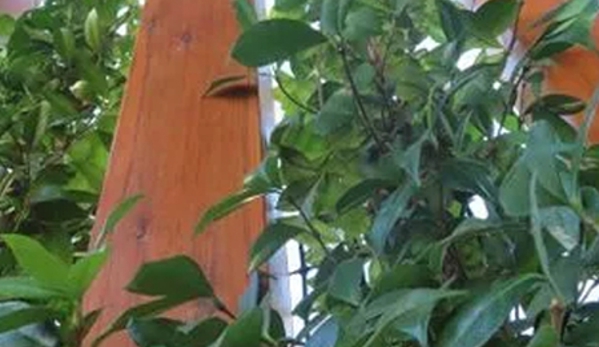 Ian Kelly Landscape Contractor - Kennington, VIC
