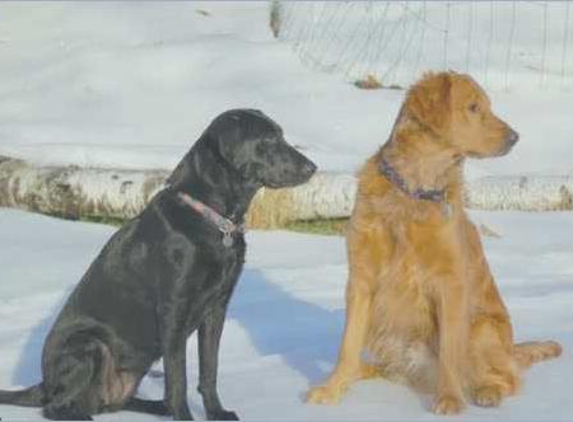 Woodes Kennels - North Hampton, NH