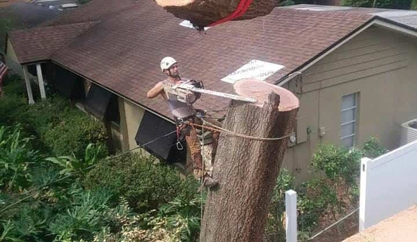 McCullough Tree Service - Longwood, FL